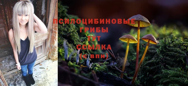 ГАЛЛЮЦИНОГЕННЫЕ ГРИБЫ Белоозёрский