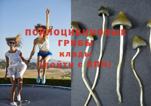 ГАЛЛЮЦИНОГЕННЫЕ ГРИБЫ Белоозёрский